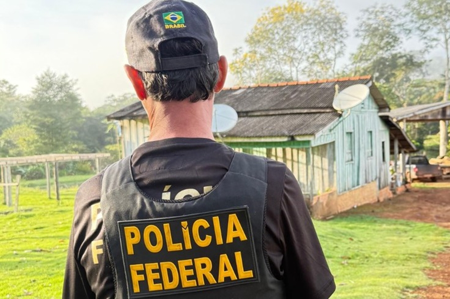 GOAAPIRANGA: PF combate a extração ilegal de madeira em Terras Indígenas