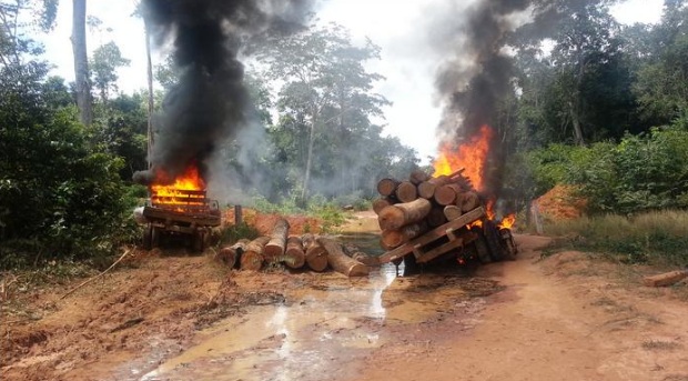 PROTEÇÃO TERRITORIAL: MPF recomenda destruição de equipamentos apreendidos em reservas