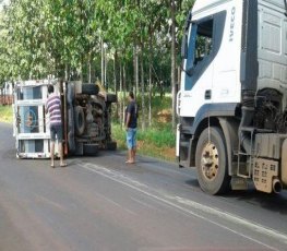 Motorista perde controle e tomba caminhonete carregada com novilhas