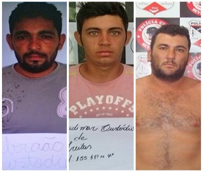 Polícia desarticula organização que roubava gado