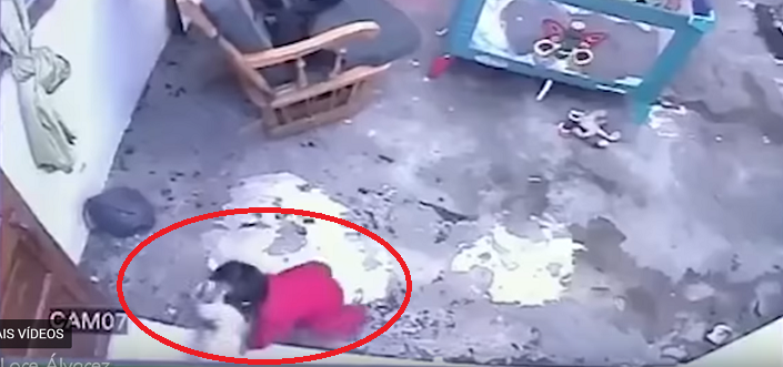 SUSTO! Vídeo flagra momento em que gato salva bebê de cair de escada