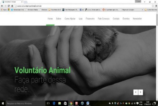 SOLIDARIEDADE - Voluntário Animal busca transparência em doações