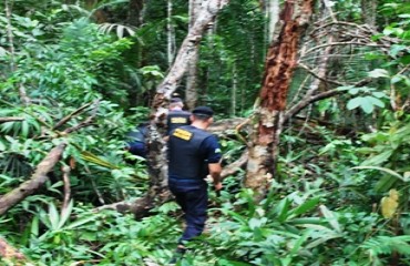 EXCLUSIVO - Polícia flagra desmatamento ilegal em área de preservação ambiental na capital - Veja Vídeo