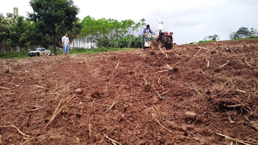 AGRICULTURA FAMILIAR: Vitrine Tecnológica começa a ser preparada para realização da 8ª Rondônia Rural Show