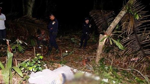 Homem morre durante derrubada na zona rural 