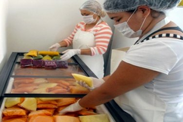 Produção de polpas de frutas será regularizada