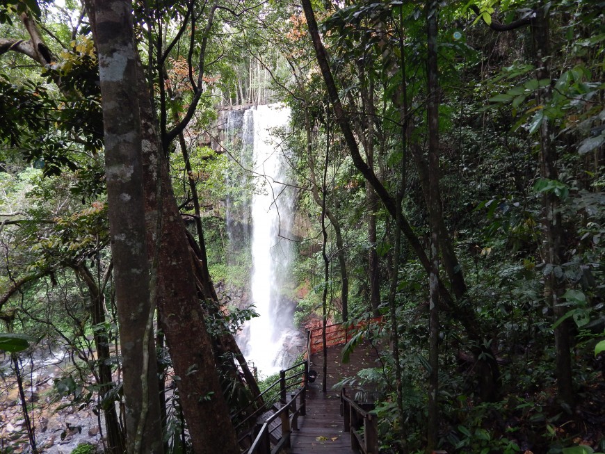 BALANÇO: Ações projetam o turismo de RO, que ganhou destaque no Brasil e no mundo