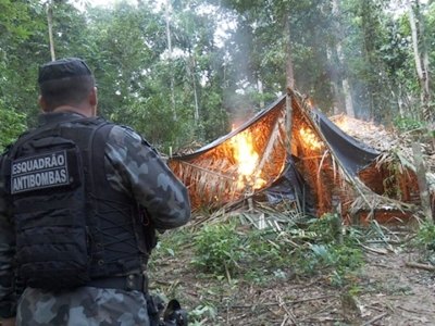 Pontes e acampamentos ilegais são destruídos em reserva florestal