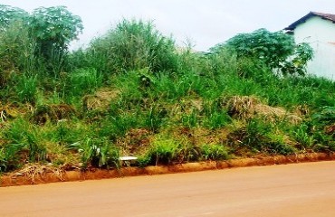 ABANDONO - Terrenos baldios tomam conta de área nobre de Porto Velho e preocupam moradores por causa de lixo e dengue - Fotos