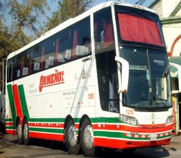 Viagem de ônibus mais longa do mundo passa por Rondônia