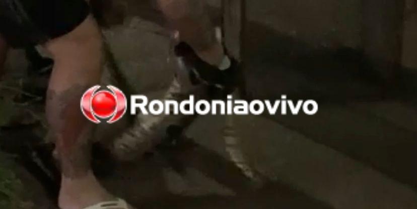 Vídeo mostra cobra atacando gato no meio de rua em Porto Velho 