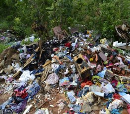 LIXÃO E LIXO ORGÂNICO: Conheça os malefícios ao meio ambiente