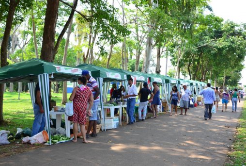 Feira Livre Itinerante comercializa produtos da agricultura familiar