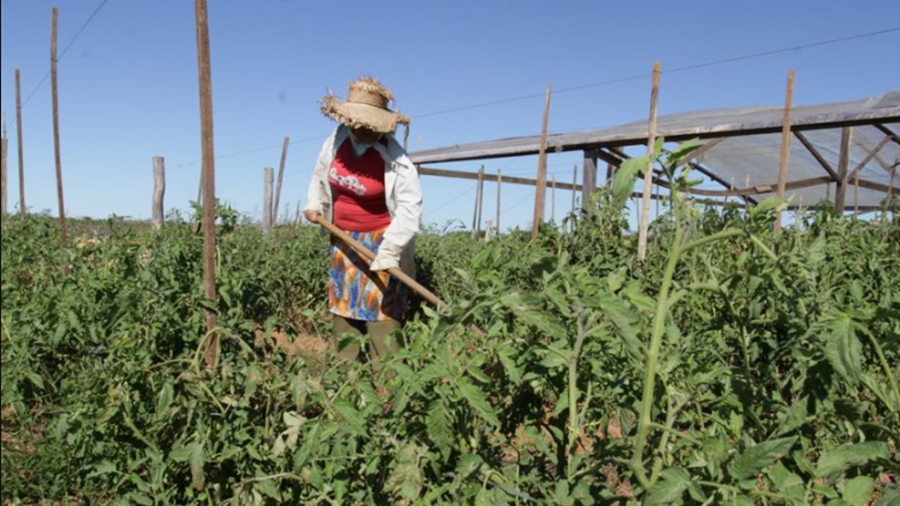 CAMPO: Órgãos se unem para atendimento a produtores rurais