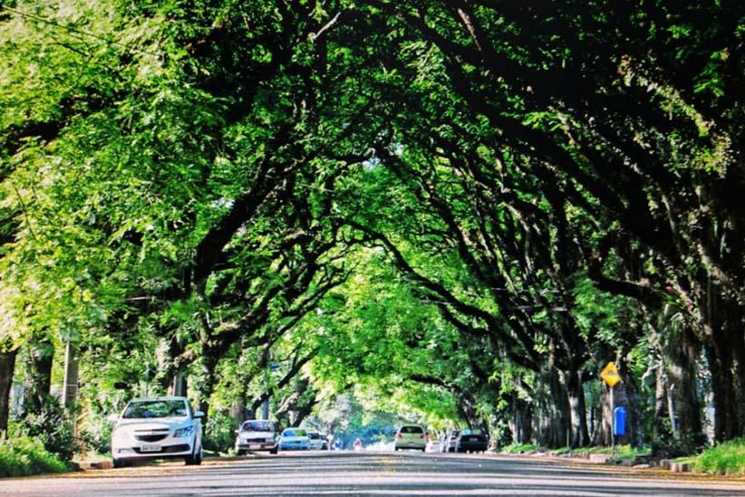 MEIO AMBIENTE: As cidades são verdadeiras ilhas de calor