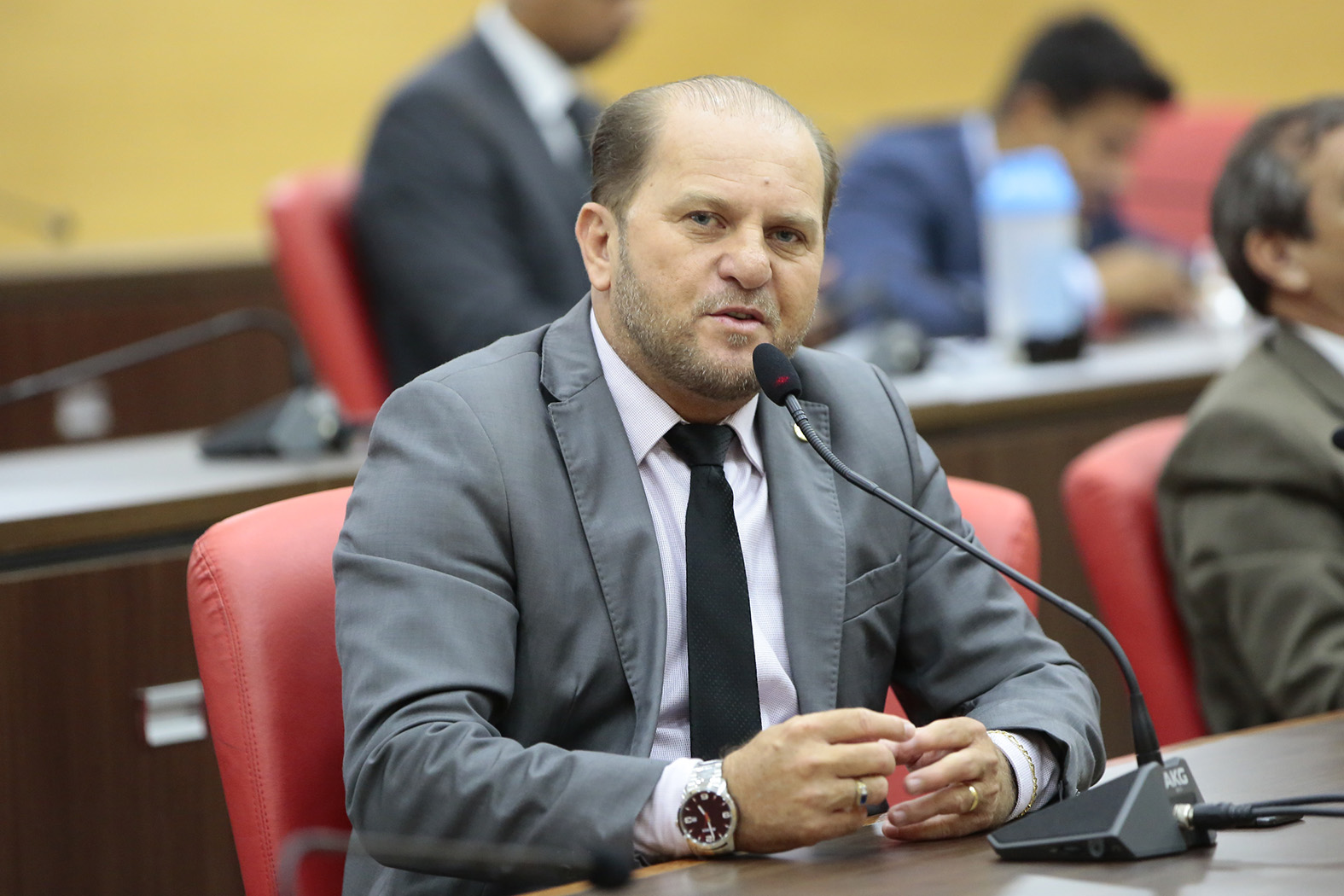 BOVINOS: Retirada da vacina contra a febre aftosa valoriza a pecuária, avalia Cirone