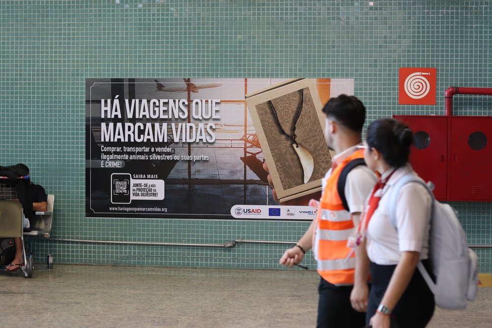 MEIO AMBIENTE: Aeroporto de Porto Velho participa de campanha contra tráfico de animais silvestres 