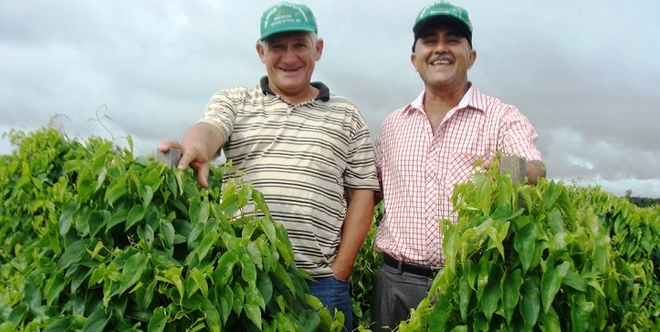 CONSCIENTIZAÇÃO: Dia 10 de maio é comemorado o Dia do Campo