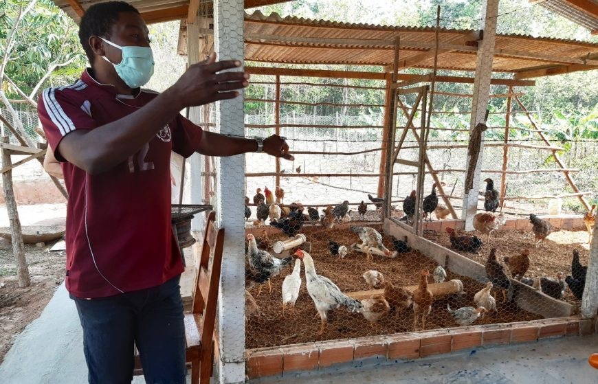 SUSTENTABILIDADE: Produtores ressaltam eficiência do sistema agroecológico