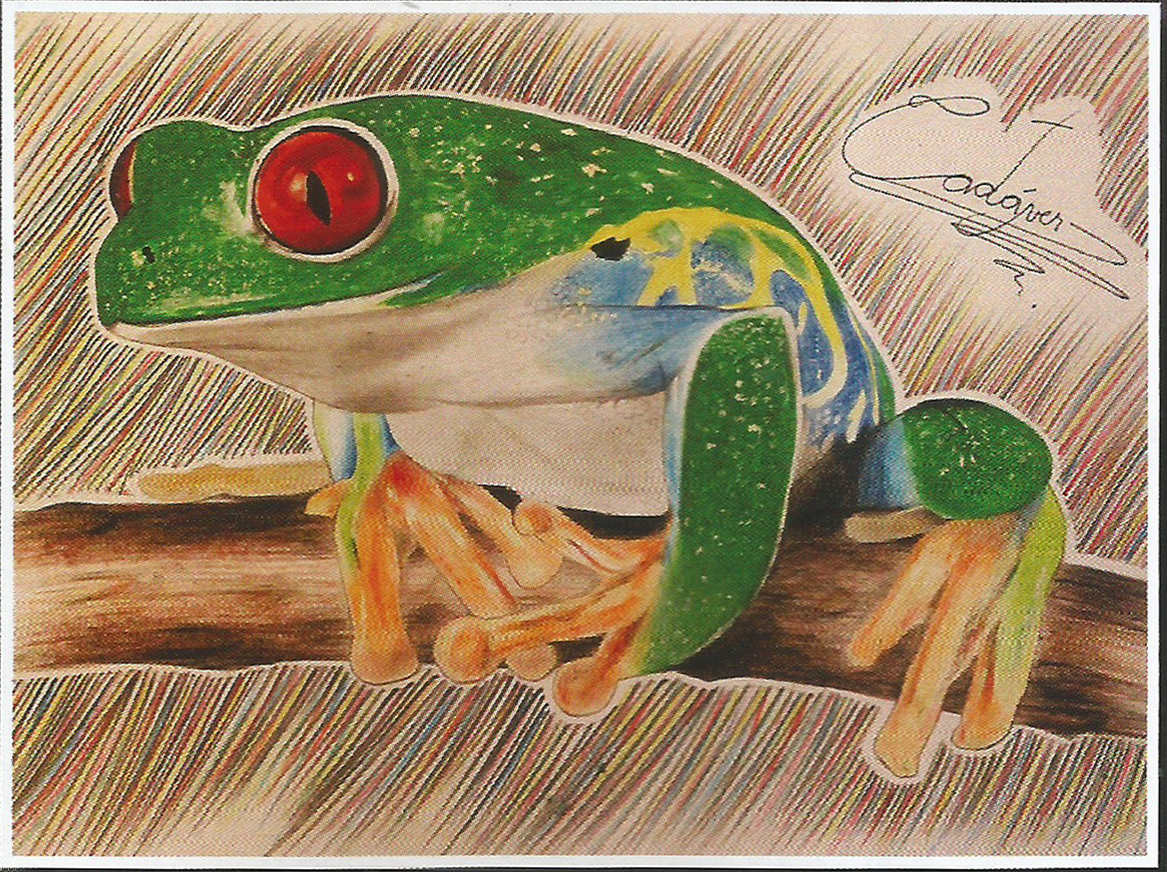 ARTES: Exposição Retratos da Memória nesta sexta-feira na Escola Ermelindo Monteiro Brasil