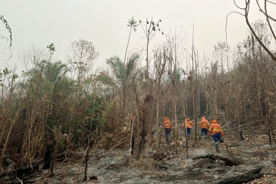 CLÁUDIA DE JESUS: Após solicitação, governo vai contratar bombeiro civil para combater incêndios 