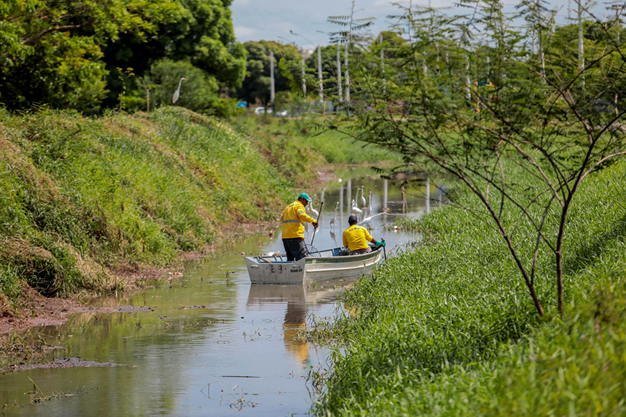 MEIO AMBIENTE: Decreto cria unidade para preservação de nascentes no Igarapé da Penal