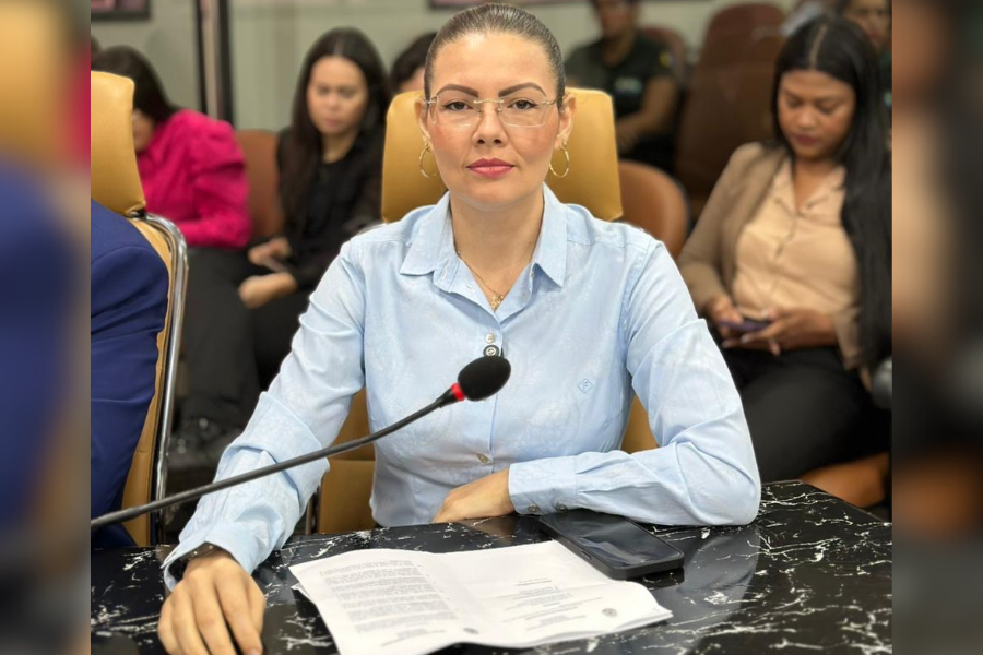 MAIS SEGURANÇA: Sofia Andrade cobra avanços para a implantação da Guarda Municipal
