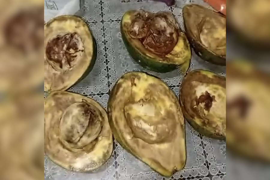 SAÚDE: Hortifrutos comercializados em PVH tem qualidade questionada por consumidores 