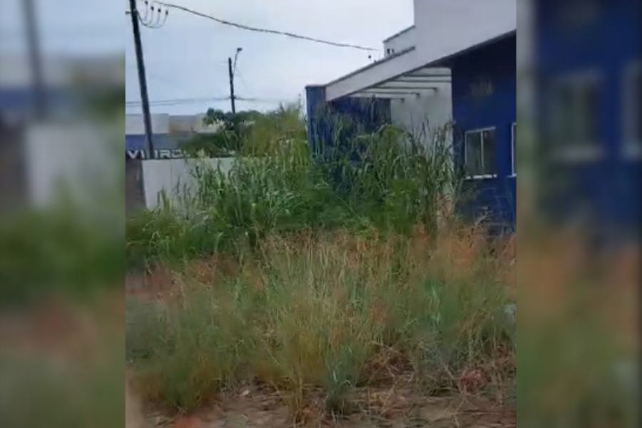 NOTA DE ESCLARECIMENTO: Prefeitura de Vilhena diz que Centro de Castração será terceirizado