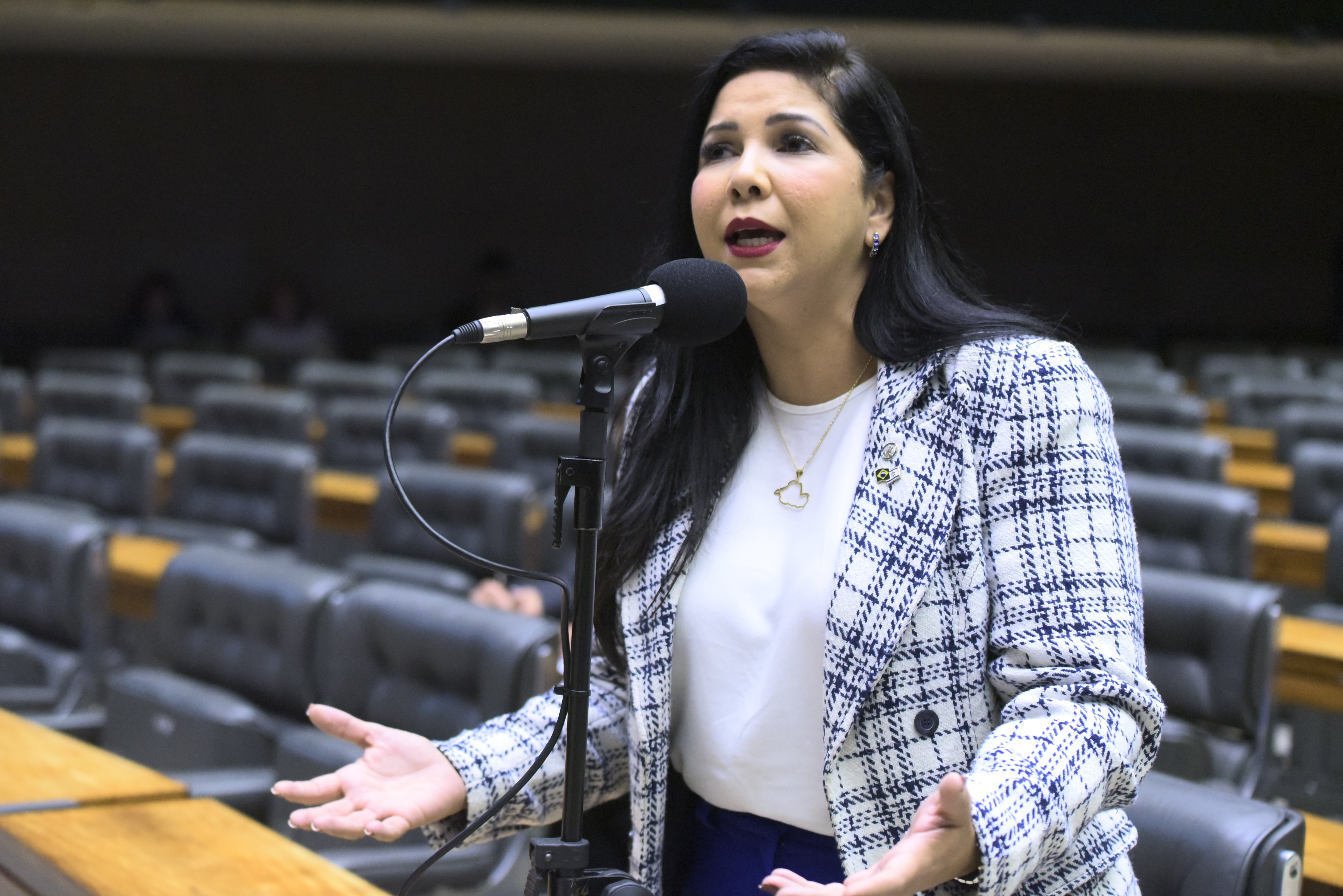 CRISTIANE LOPES: Deputada cobra fim da greve do INSS e demais servidores para atender a população