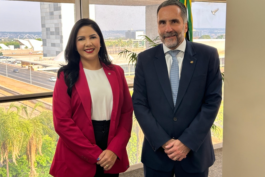 CRISTIANE LOPES: Deputada reivindica aeronave para segurança pública em Rondônia