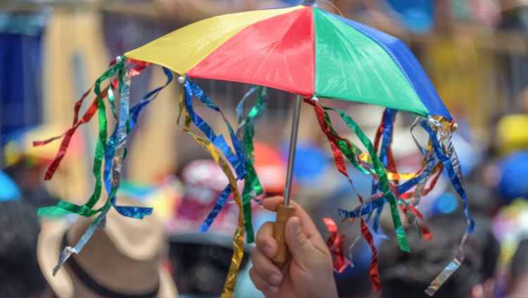 LAMBIDA DE GATO: Micareta do bloco de carnaval acontece dia 30 em Rolim de Moura