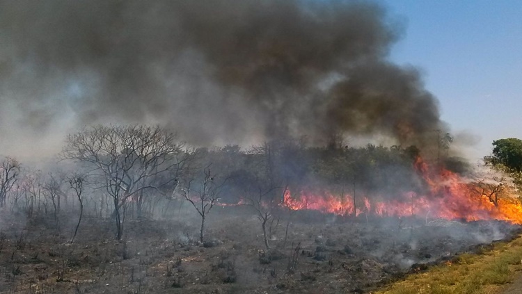 FOGO: Incêndio de grandes proporções atinge Parque de Ibitipoca, em Minas