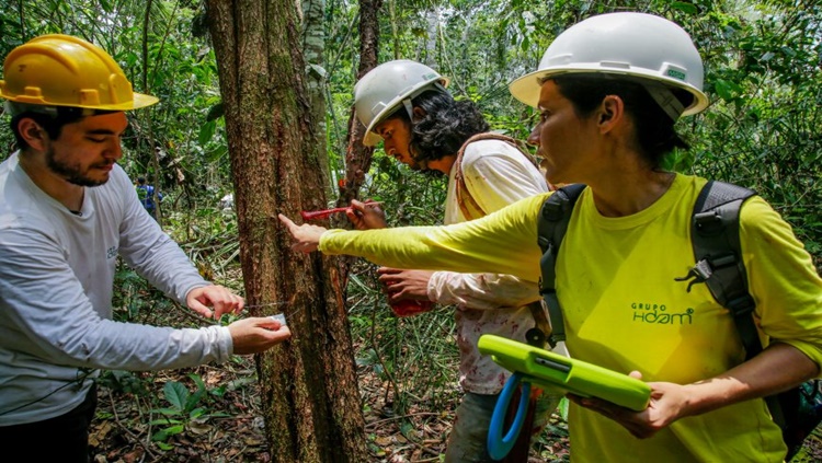 RIO CAUTÁRIO: Inventário florestal da Resex revela espécies nobres de árvores e plantas medicinais