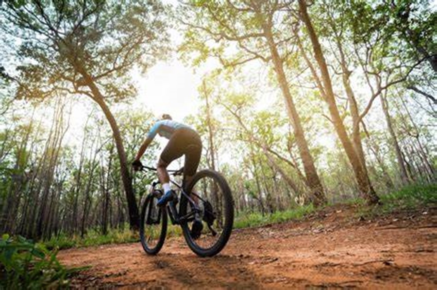 PEDALADA PELA NATUREZA: Evento será promovido pela Polícia Ambiental 