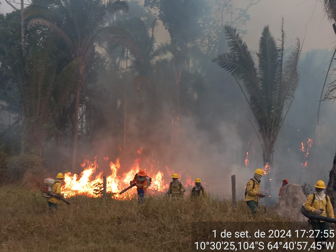 RONDÔNIA PROTEGE: Justiça proíbe uso e produção em área desmatada ilegalmente e condena proprietários a recuperar floresta 