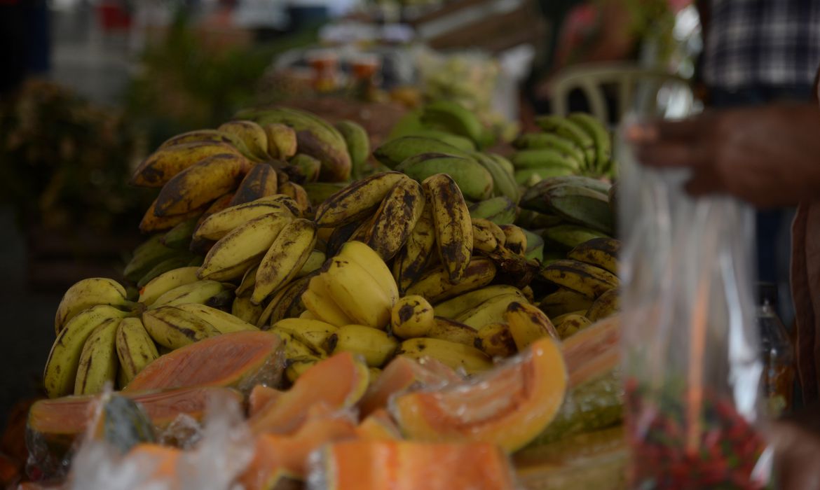 CRIANÇAS: Saúde lança guia alimentar de bolso para menores de 2 anos