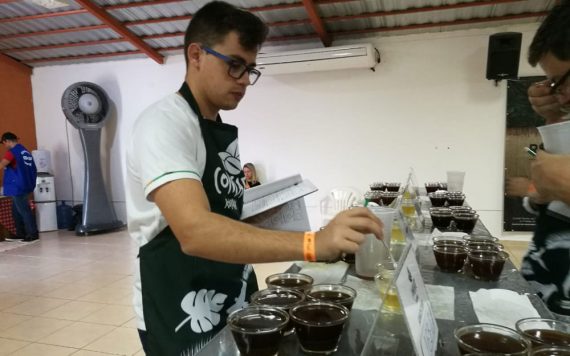 CAFEICULTURA: Robusta ganha força e Rondônia poderá ser reconhecida como referência