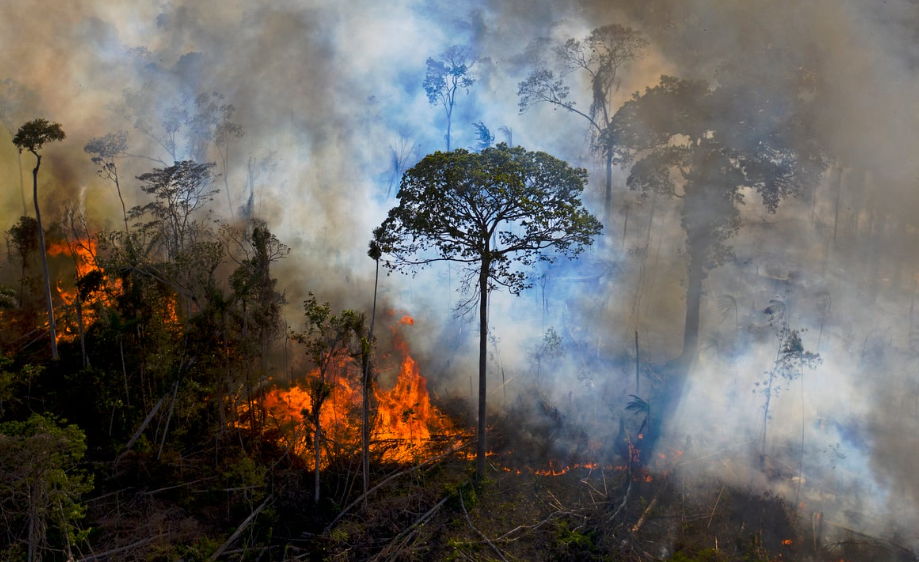 DEVASTAÇÃO: Fogo na Amazônia destruiu 10 vezes mais que desmatamento