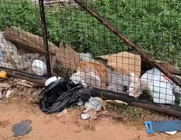 PEDIDO DE PROVIDÊNCIA: Parque dos Tanques segue com lixo 11 dias após fim da Flor do Maracujá