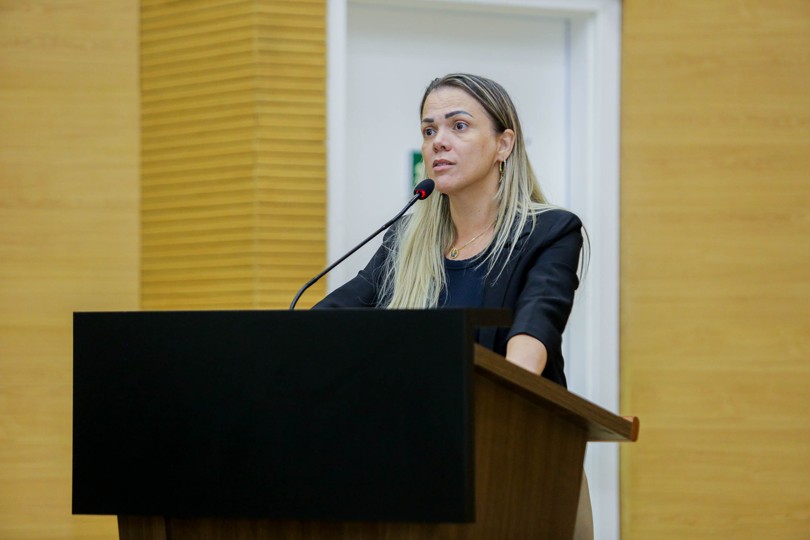 CLAÚDIA DE JESUS: Recapeamento da RO-135, em Ji-Paraná, é solicitado por deputada ao DER