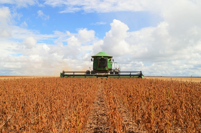 SAFRINHA 2019: Idaron cadastra produtores de soja de Rondônia para garantir plantio saudável