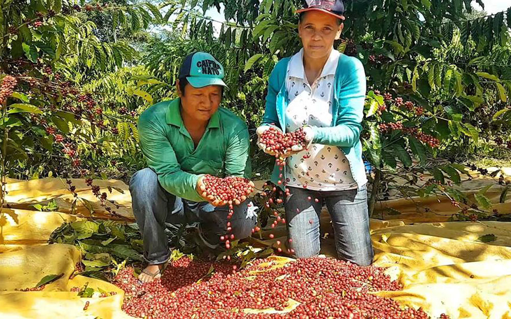 FORTALECIMENTO: Agricultores indígenas de Rondônia vão obter financiamento do Pronaf