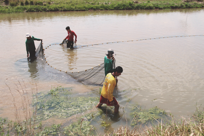 PROTEÇÃO AMBIENTAL: Pesca profissional está proibida até março de 2019