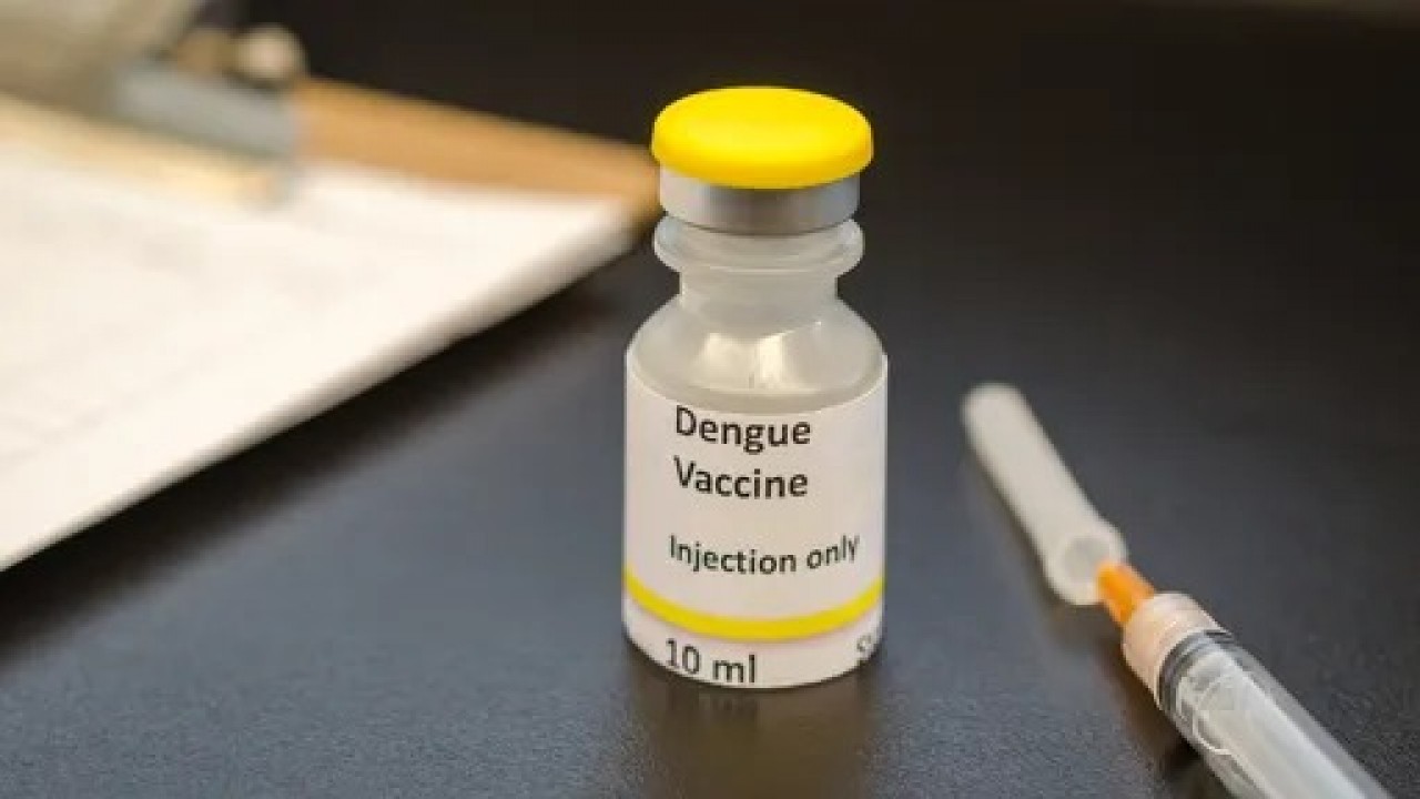 IMUNIZANTE: Nova vacina contra a dengue chega ao Brasil na próxima semana