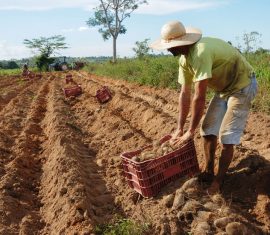 EFICIÊNCIA: Emater visa modernização para uma assistência técnica e extensão rural