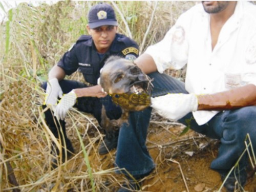 Corpo de um homem é localizado em garimpo  - Imagem de alto impacto