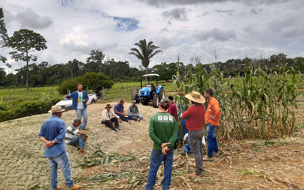 INOVAÇÃO: Produtores rurais são incentivados a usar silagem para alimentar rebanho na seca