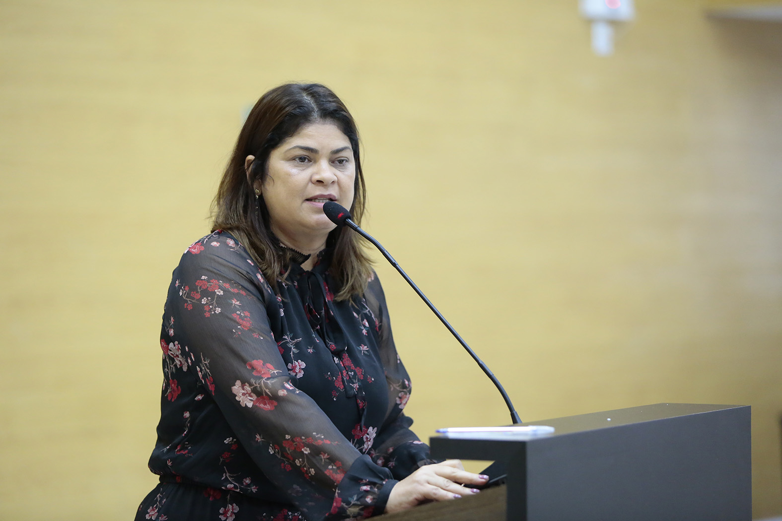 BURACOS: Cássia da Muleta pede melhorias para a BR-364 e elogia governador