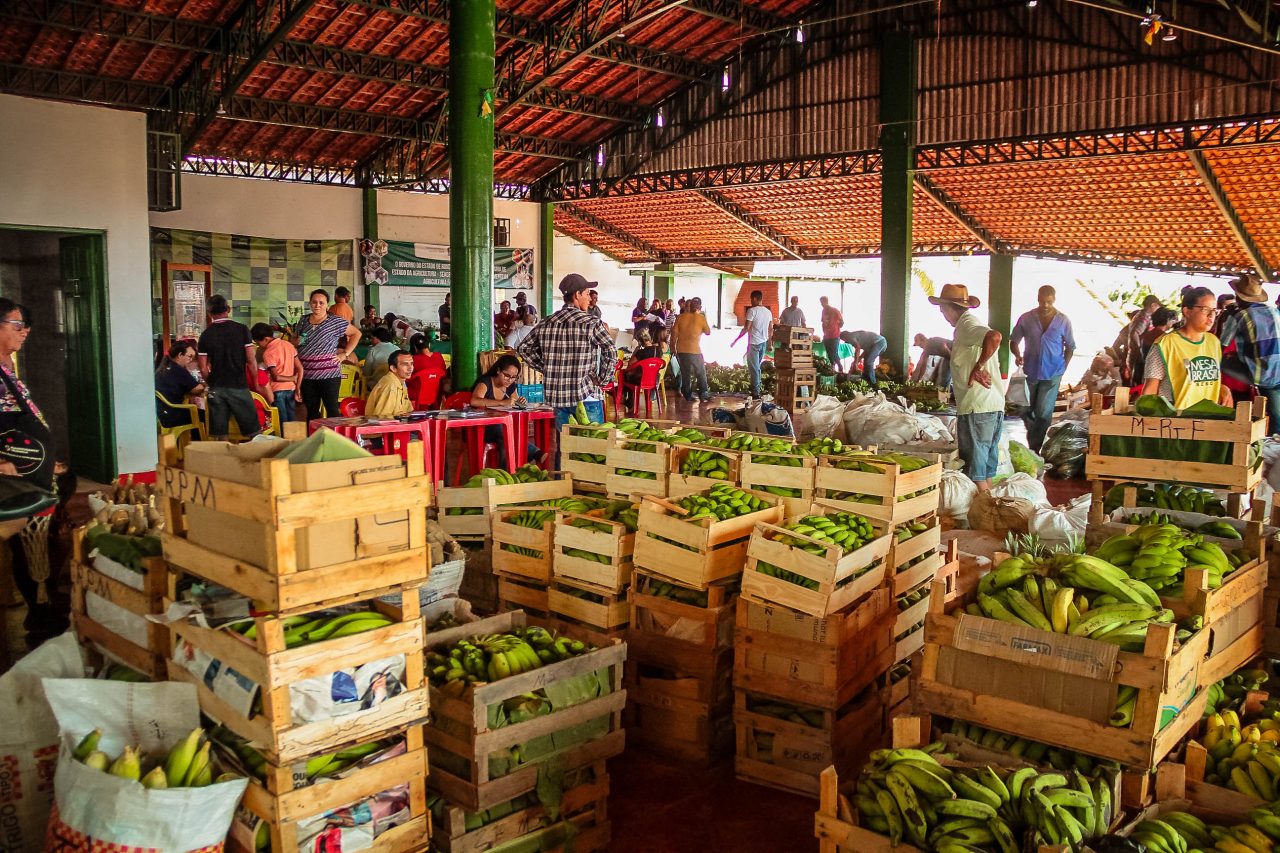 MICRO PRODUTOR: Pequenos agricultores de Rondônia recebem apoio na comercialização da produção